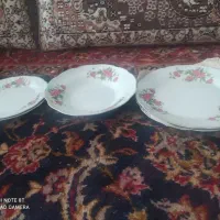 جینی گل سرخ