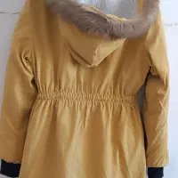 پالتو|لباس|بیرجند, |دیوار