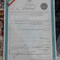 دستگاه‌های نانوایی