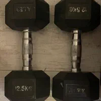 دمبل ۱۲.۵ کیلویی