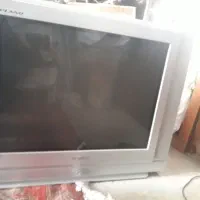 تلوزیون