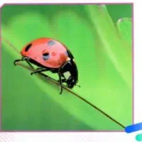 تدریس تخصصی زیست دهم