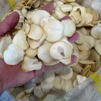 انواع اسلایس موسیر