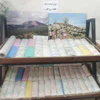 تولیدی سفره یکبارمصرف ، فریزر رولی