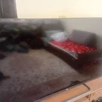 ال سی دی TCL پنل شکسته