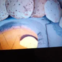 نون جو تنوری