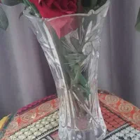 روفرشی.۱۲متری  و گل با گلدون|روفرشی|سبزوار, مدرس|دیوار