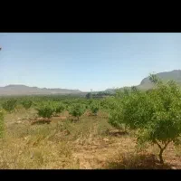 زمین-فروشی-واقع-پایین-تر-از-اتوبان