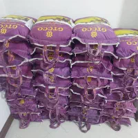 هندی جی تی سی ۵۰۰ کیلو روزانه موجوده