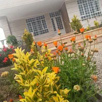 ویلا لاکچری تمام ملک درمرکزساردوییه بهترین مکان