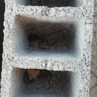 بلوک وتیرچه والی پور|مصالح و تجهیزات ساختمان|سراب, |دیوار