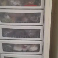 فریزر در حدنو