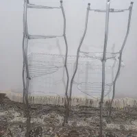 دو عدد استند