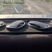 دو جفت باند پایونر