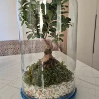 گلدان طبیعی بن سای