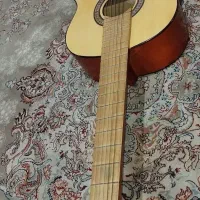 گیتار کلاسیکLion  فقط تا آخر امشب ۲۷۰۰|گیتار، بیس، امپلیفایر|پرند, فاز ۵|دیوار