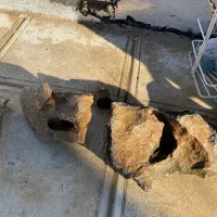 سنگ و شن آکواریوم ماهی|ماهی|مریوان, |دیوار