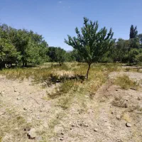 فروش ومعاوضه زمین وباغ درروستای قلعه عسکر|فروش زمین و ملک کلنگی|بافت, |دیوار