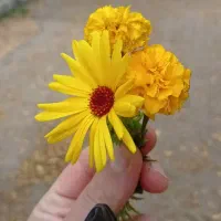 مدارکم گم شده.‌