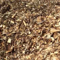 فروش چغندر قند برای لبو حیوانات تفاله وزارت علوفه|عمده‌فروشی|میانه, |دیوار