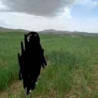 فروش زمین دیمزار ۴ هکتار یکجا