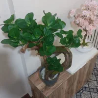 گل  مصنوعی قاشقی