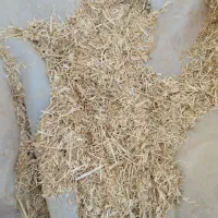 کاه گندم نرم|عمده‌فروشی|مشهد, مهدی آباد|دیوار