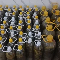 خیارشور درجه ۱ خوش قیمت