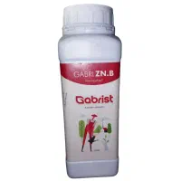 فروت ست گابریست گابری فروت