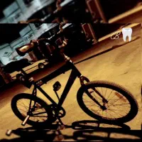 دوچرخه 20