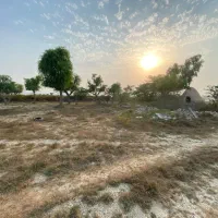 زمین شهرک جوانان کوشه