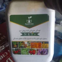 کود|گل و گیاه طبیعی|سیسخت, |دیوار