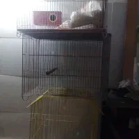 3عددقفس پرند|لوازم جانبی حیوانات|مشکین‌دشت, |دیوار