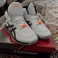 کفش والیبال نو