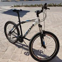 دوچرخه VIVA مدل  سناتور