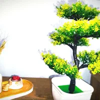 درخت گل بهاری