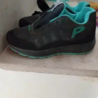 کتونی|کیف، کفش، کمربند|اراک, |دیوار