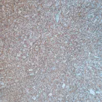 شن عربی 25 کیلو  تمیز
