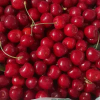 گیلاس شیشه ای