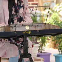 میز سنتور چاووش