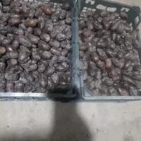 خرما کلوته