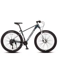 دوچرخه 29 بلست BLAST مدل MASTER مستر