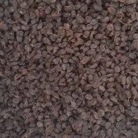 کشمش اورگانیک ملکان مخصوص|خوردنی و آشامیدنی|تبریز, |دیوار