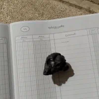 فروش شهاب سنگ اصلی ازمایش شده