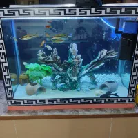 آکواریوم با لوازم جانبی