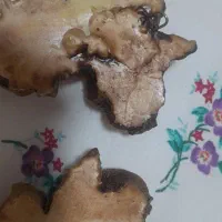 دکوری