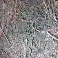 یونجه پرس|لوازم جانبی حیوانات|گرمخان, |دیوار