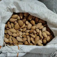 بادام شیرین|خوردنی و آشامیدنی|تکاب, |دیوار