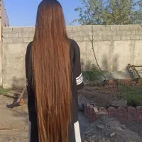 خریدار موی طبیعی شمارو با بهترین قیمت برمیداریم