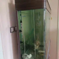 آکواریوم شیشه خم شرکتی|ماهی|اصفهان, همدانیان|دیوار